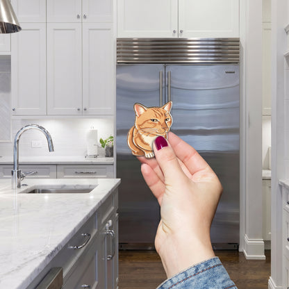 Sassy Orange Cat Meme Magnetic Fridge Magnet