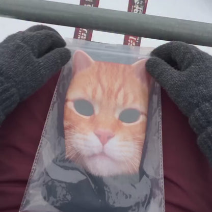 Funny Arctic Animal Masks
